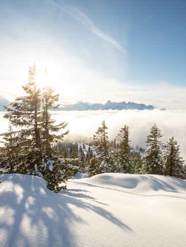 © Stefan Kothenr Photography