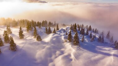 © Stefan Kothenr Photography