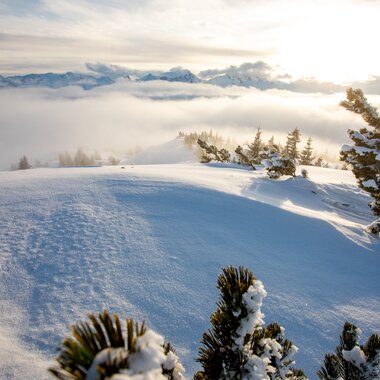 © Stefan Kothenr Photography