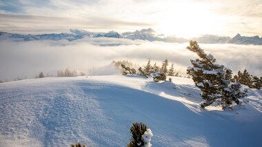 © Stefan Kothenr Photography