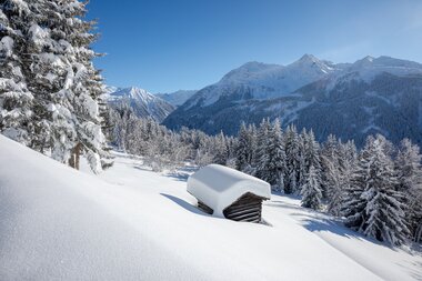 © Stefan Kothenr Photography