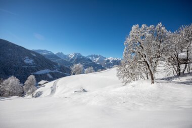 © Stefan Kothenr Photography