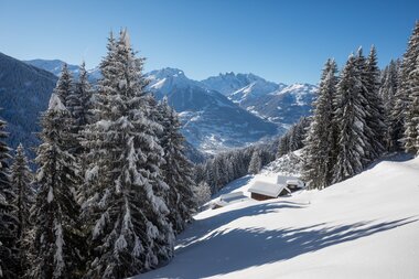 © Stefan Kothenr Photography