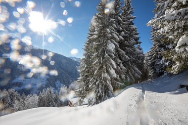 © Stefan Kothenr Photography