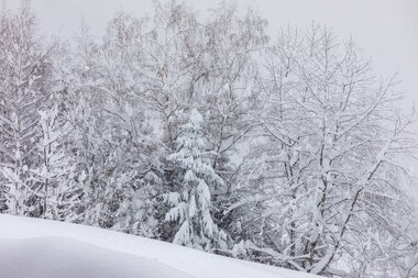 © Stefan Kothenr Photography