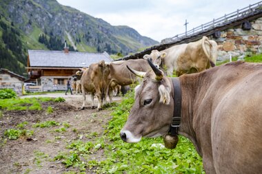 © Stefan Kothenr Photography