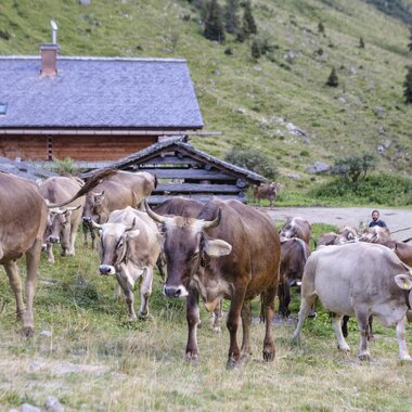 © Stefan Kothenr Photography