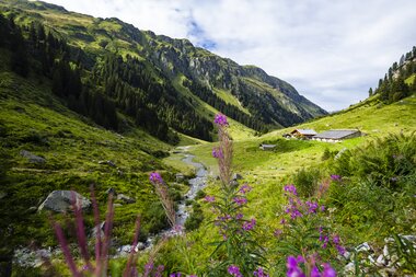 © Stefan Kothenr Photography