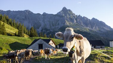 © Stefan Kothenr Photography