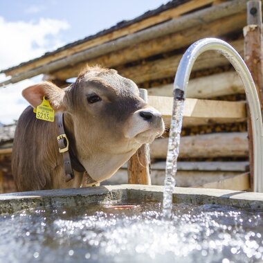 © Stefan Kothenr Photography