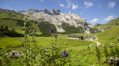 © Stefan Kothenr Photography