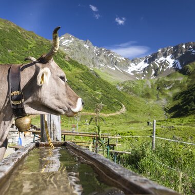 © Stefan Kothenr Photography