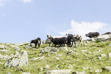 © PATRICK SAELY PHOTOGRAPHY