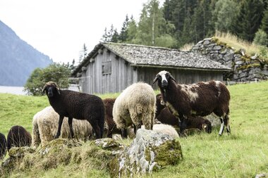 © SAELY PATRICK PHOTOGRAPHY