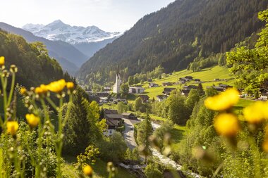 © Stefan Kothenr Photography