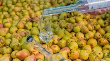 © Alexander Kuster__AK-Fotografie