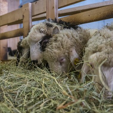 © Alexander Kuster__AK-Fotografie