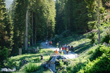 © Stefan Kothenr Photography