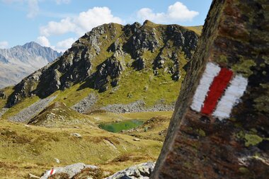 © Copyright 2022. All rights reserved.