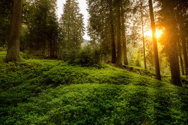 © Stefan Michael Kothner;www.stefankothner.at