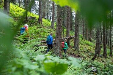 © Stefan Michael Kothner;www.stefankothner.at