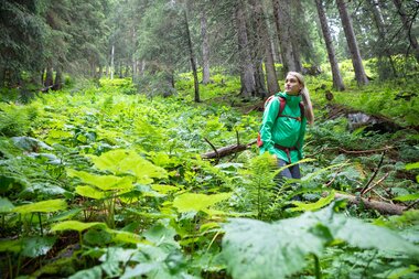 © Stefan Michael Kothner;www.stefankothner.at