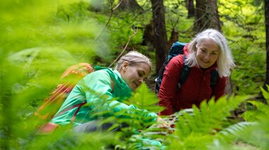 © Stefan Michael Kothner;www.stefankothner.at