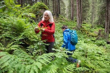 © Stefan Michael Kothner;www.stefankothner.at