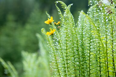 © Stefan Michael Kothner;www.stefankothner.at