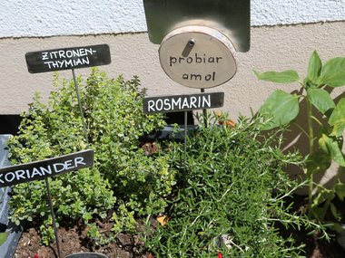 © Elisa Schöllhorn / Montafon