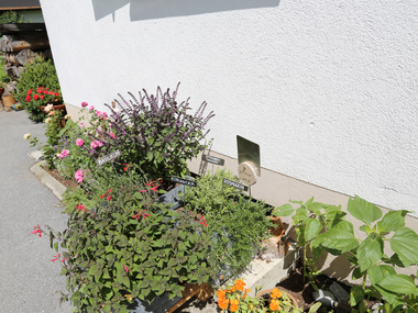 © Elisa Schöllhorn / Montafon