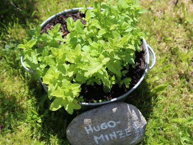 © Roland Fritsch / Montafon
