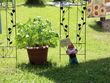 © Roland Fritsch / Montafon