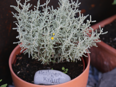 © Roland Fritsch / Montafon