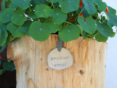 © Roland Fritsch / Montafon