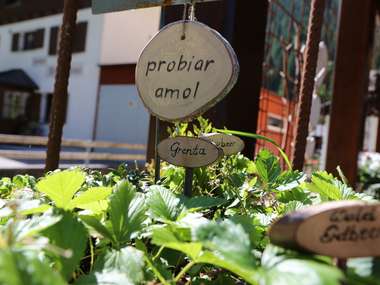 © Roland Fritsch / Montafon