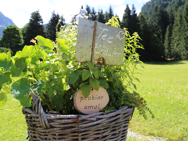 © Roland Fritsch / Montafon