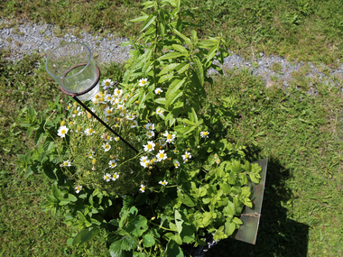 © Roland Fritsch / Montafon