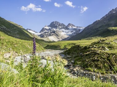 © Elisa Schöllhorn