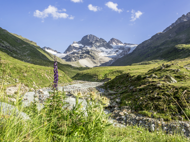 © Elisa Schöllhorn