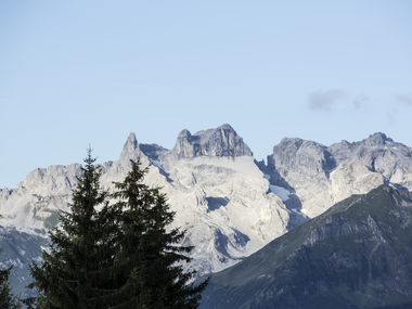 © daniel zangerl photographer