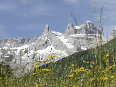 © SAELY PATRICK PHOTOGRAPHY