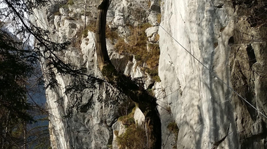 © Christina Wachter