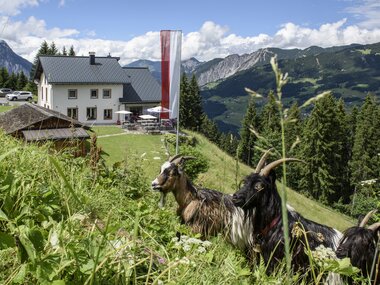 © Patrick Säly / Berggasthof Grabs