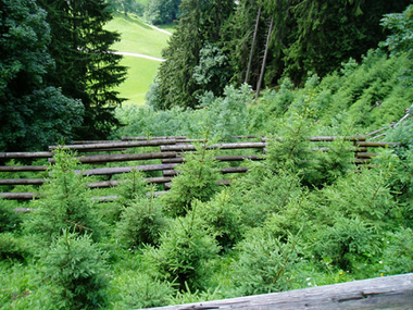 © Julia Mangeng / Projekt Loccata