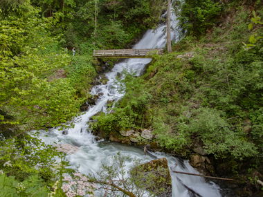 © PATRICK SAELY PHOTOGRAPHY