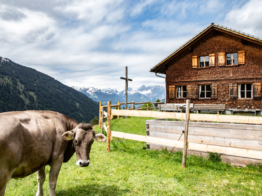 © PATRICK SAELY PHOTOGRAPHY