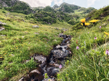© Andreas Haller / Montafon