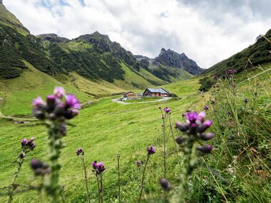 © Elisa Schöllhorn / Montafon