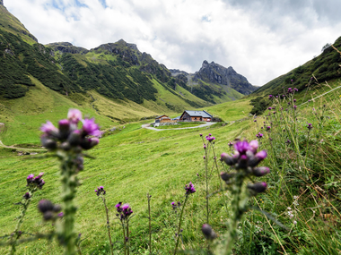 © Elisa Schöllhorn / Montafon